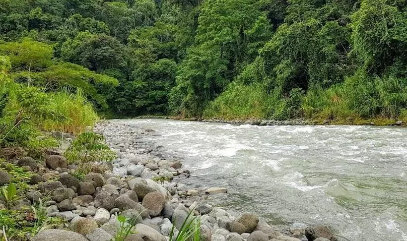 Hotelli Pacuare River Lodge
