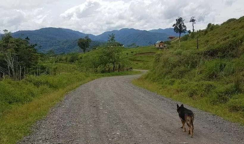 Hotelli Pacuare River Lodge
