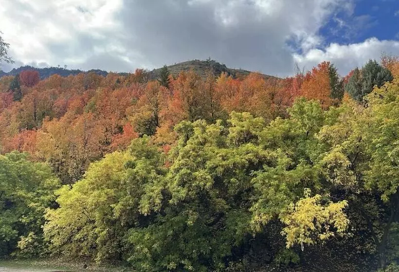 Lava Spa Motel & Rv Park