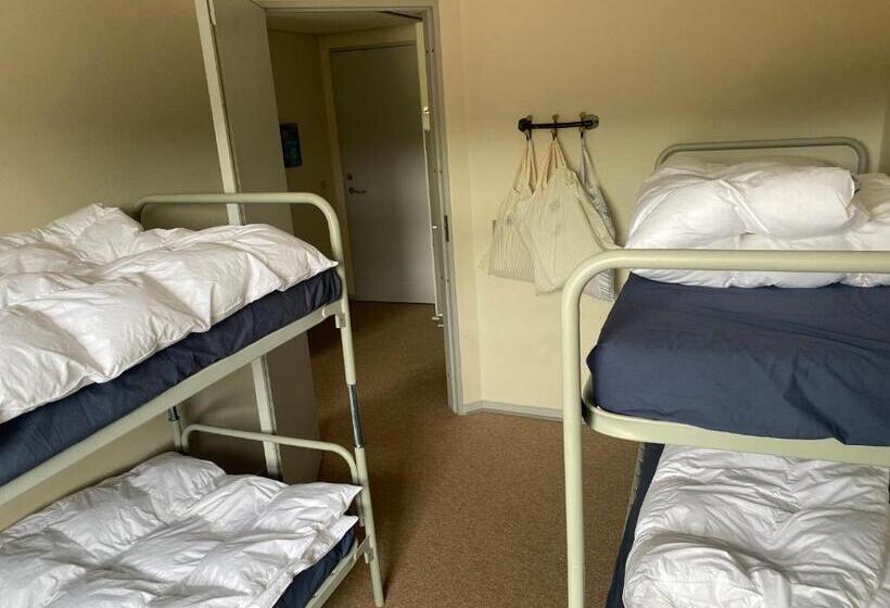 汽车旅馆 Danhostel Thorhallen Jels