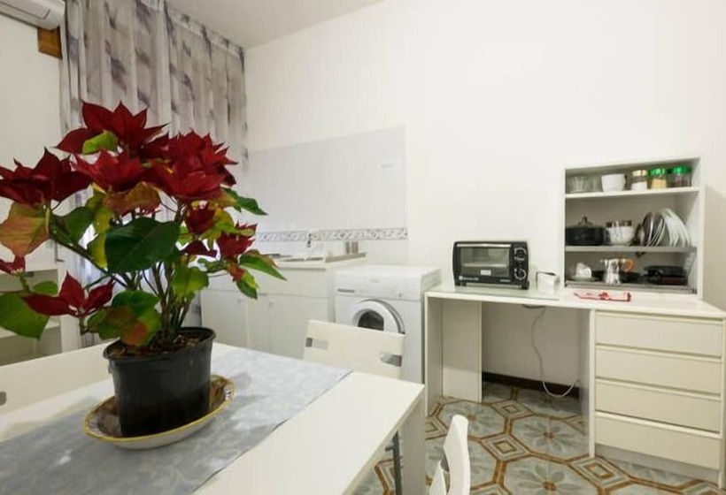 پانسیون House University