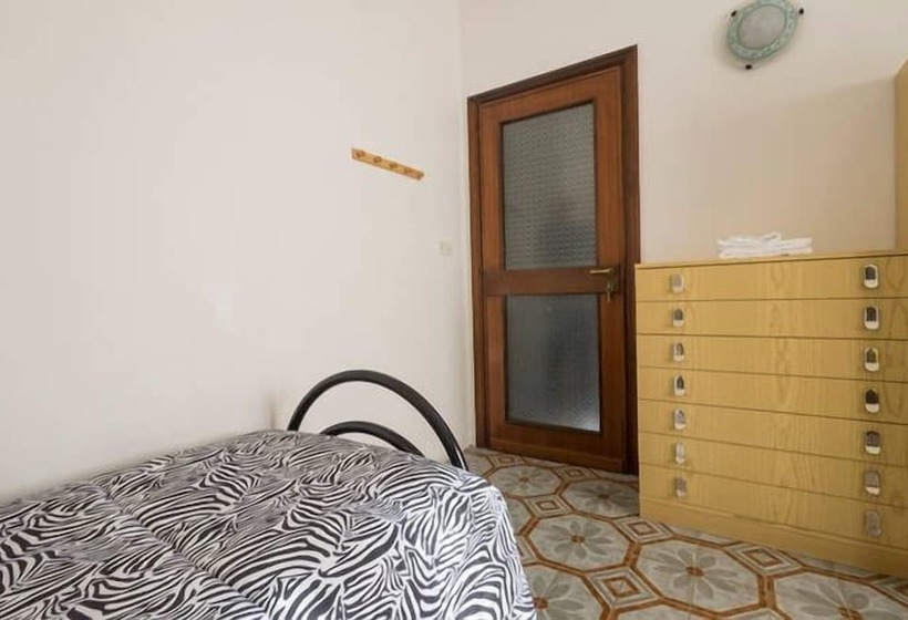 پانسیون House University