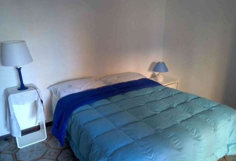 پانسیون House University