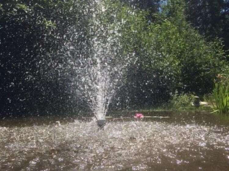 Suite Amour Hobby Farm And B & B