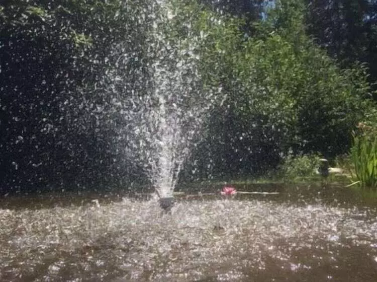 Suite Amour Hobby Farm And B & B