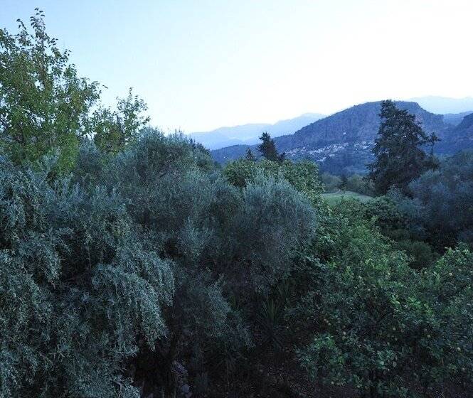 The Architect's House