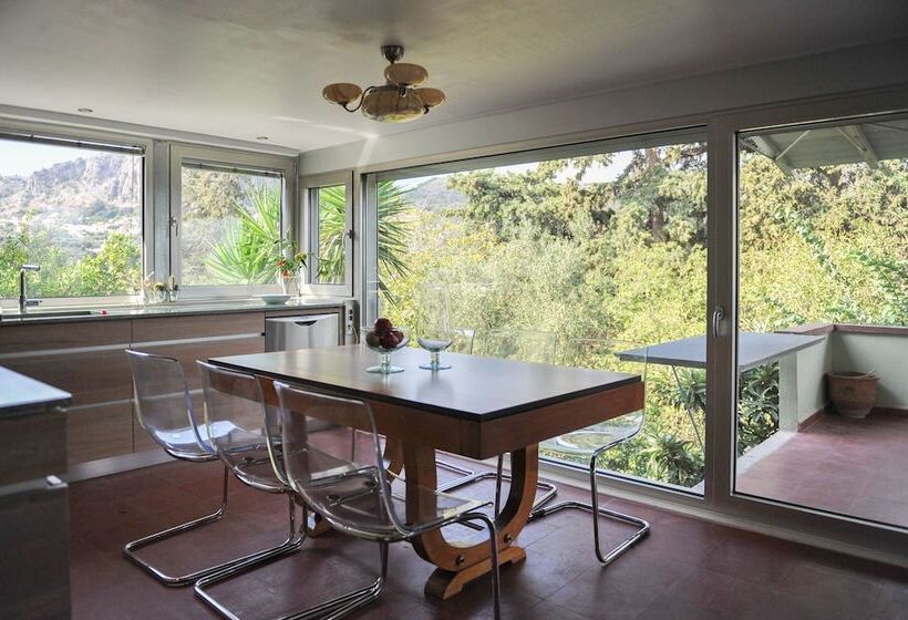 The Architect's House