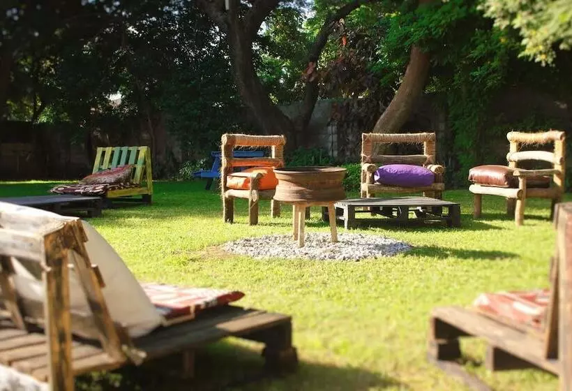 Wanderers Lodge   Hostel