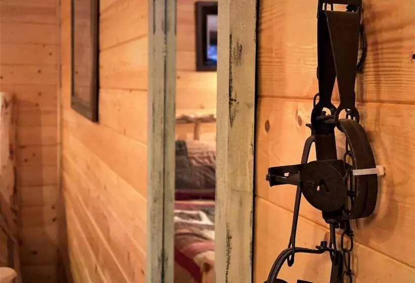 Alaska Creekside Cabins