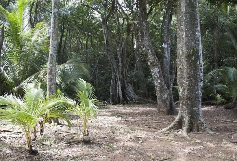 ホテル Camino Del Sol