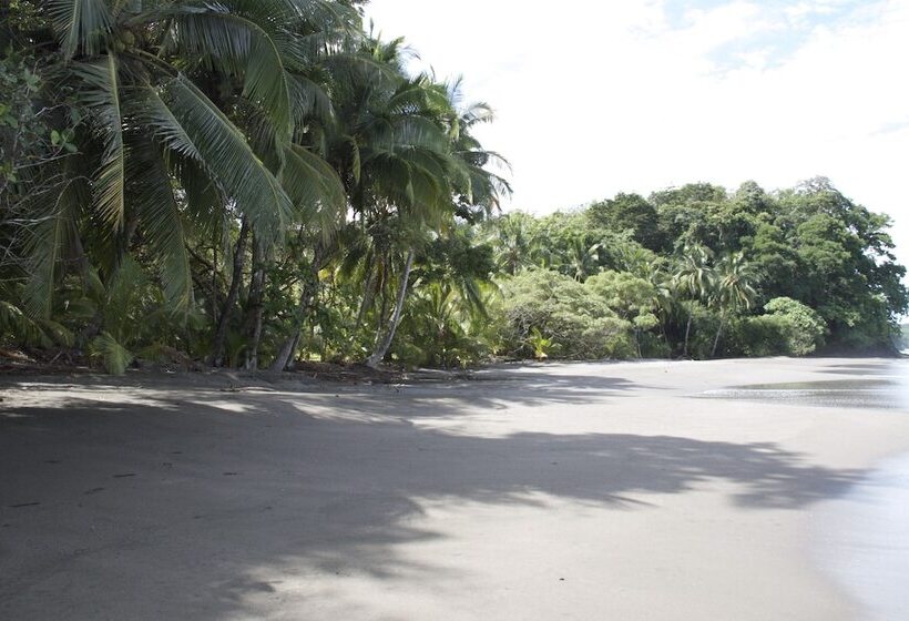 فندق Camino Del Sol