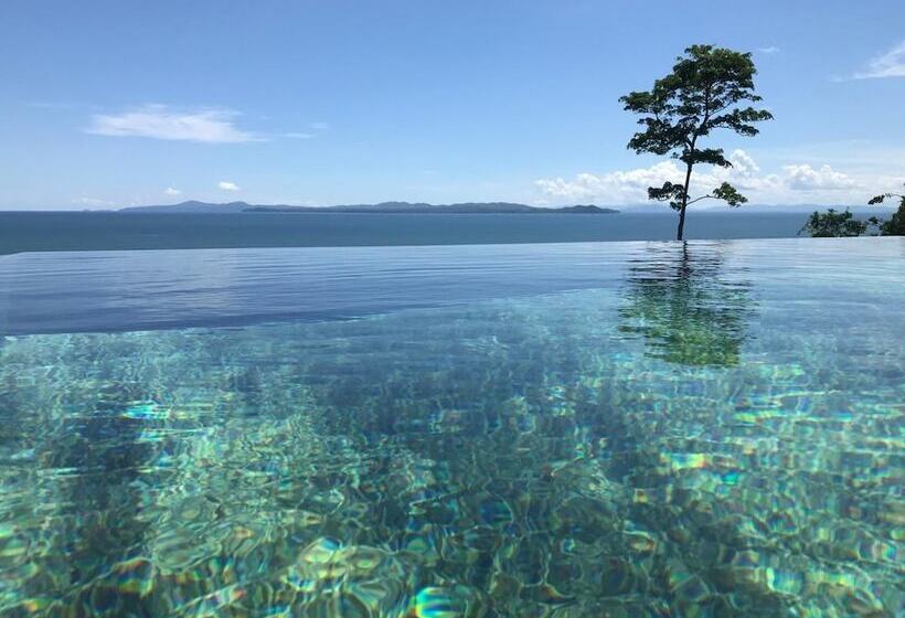 فندق Camino Del Sol