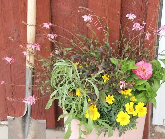 Motelli Black Bear Inn