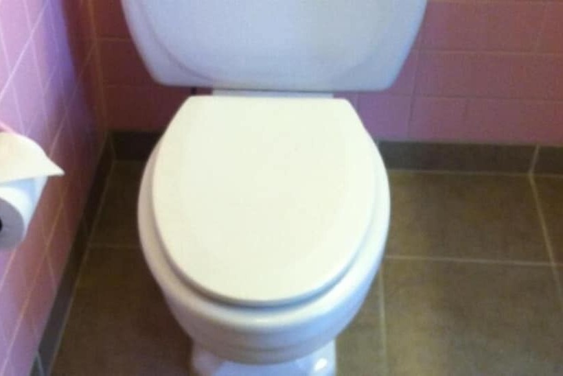 فندق على الطريق College Inn