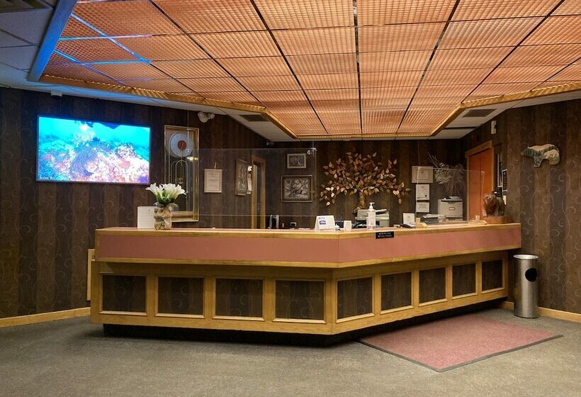 モーテル Northern Motor Inn