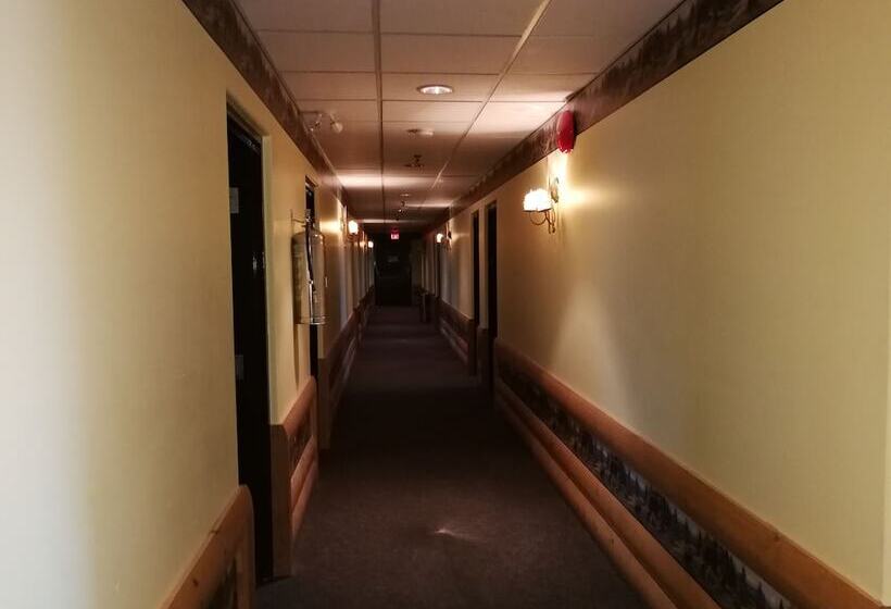 モーテル Northern Motor Inn