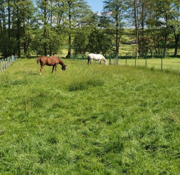 Garni Hotel Biebertal Am Milseburgradweg