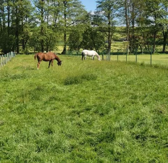 Garni Hotel Biebertal Am Milseburgradweg