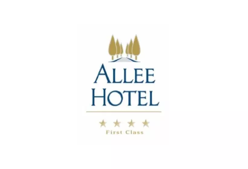 Отель Allee