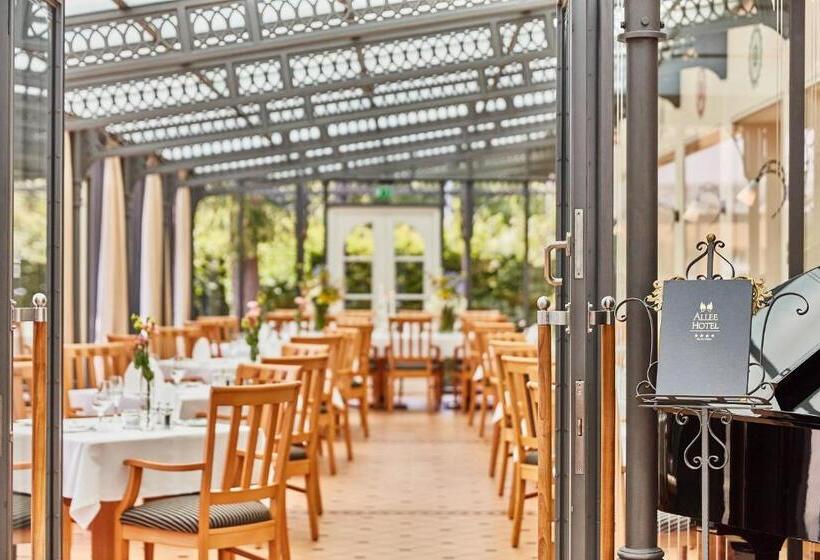 Hotel Allee