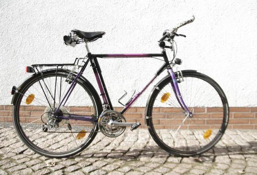 Отель Birkenhof