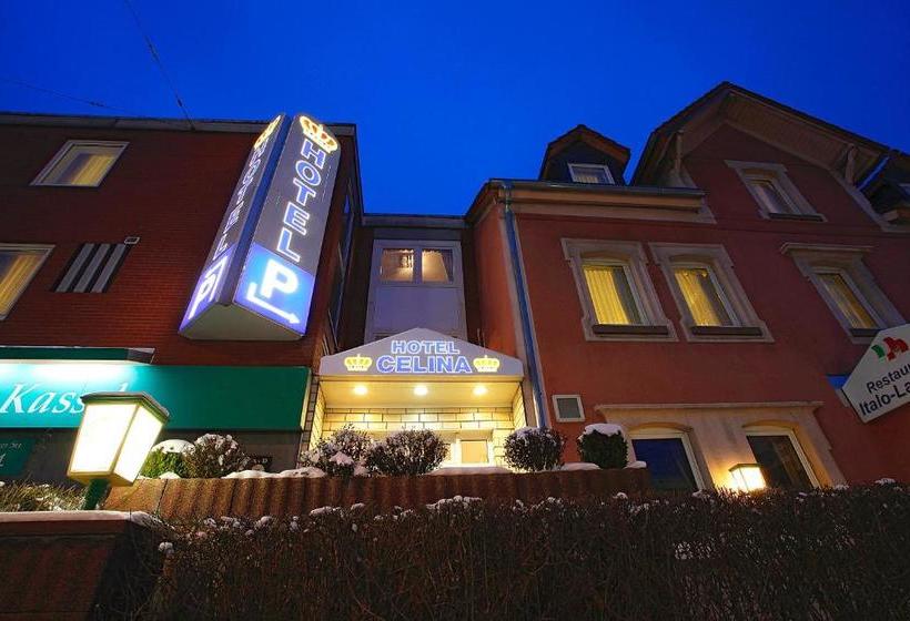 בית מלון כפרי Celina