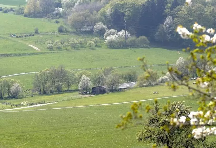 酒店 Collegium Glashütten