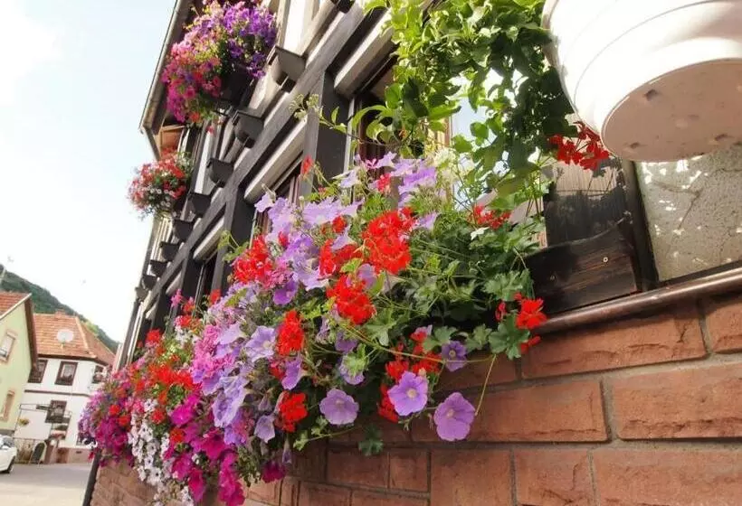 בית מלון כפרי Dernbachtal