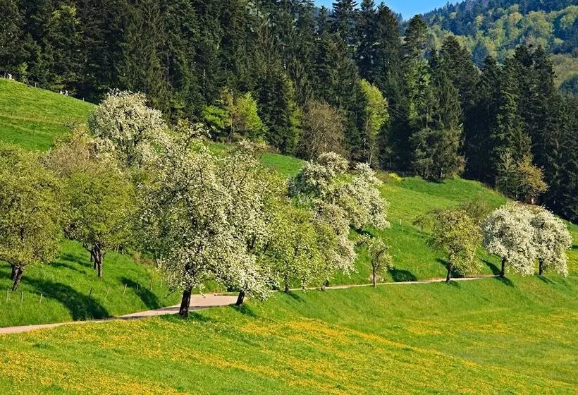 בית מלון כפרי Fuxxbau