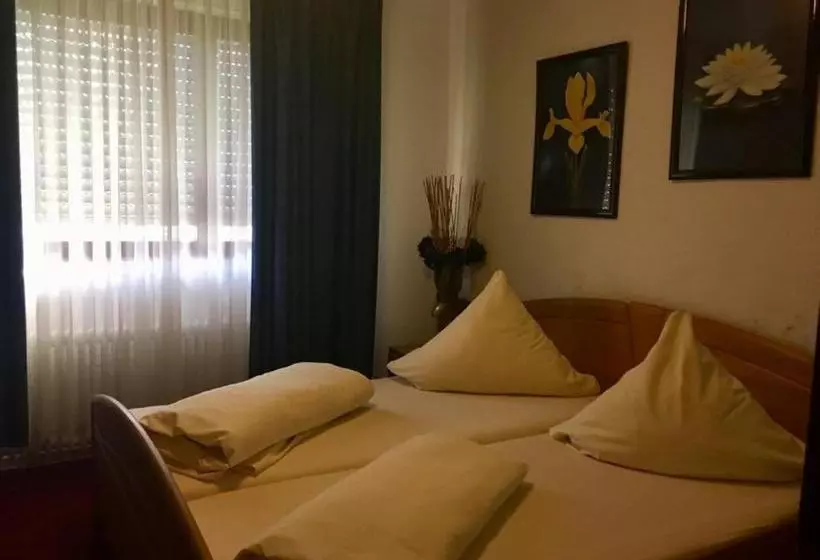 酒店 Heidelberger Tor