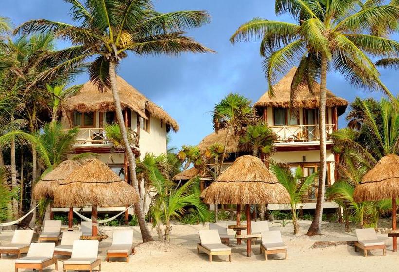 Hotel Rosa Del Viento