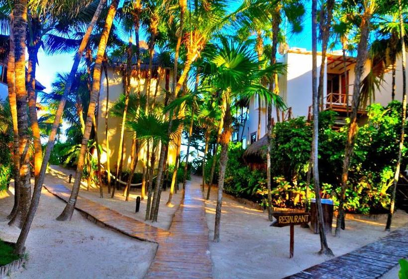 Hotel Rosa Del Viento