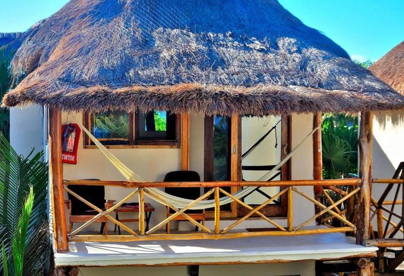 Hotel Rosa Del Viento