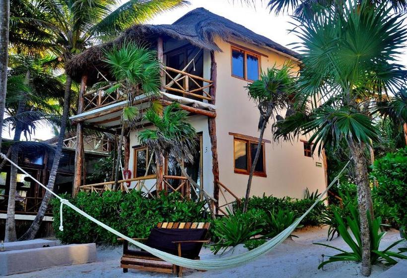 Hotel Rosa Del Viento