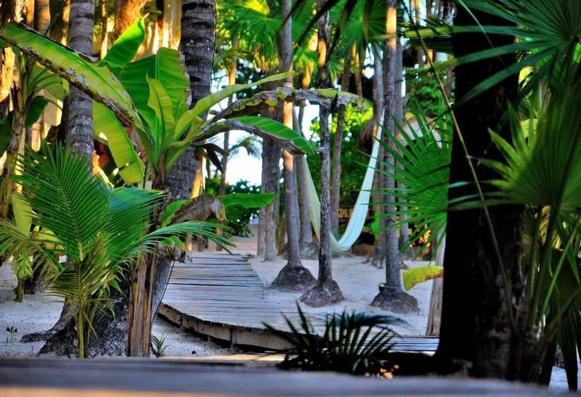 Hotel Rosa Del Viento