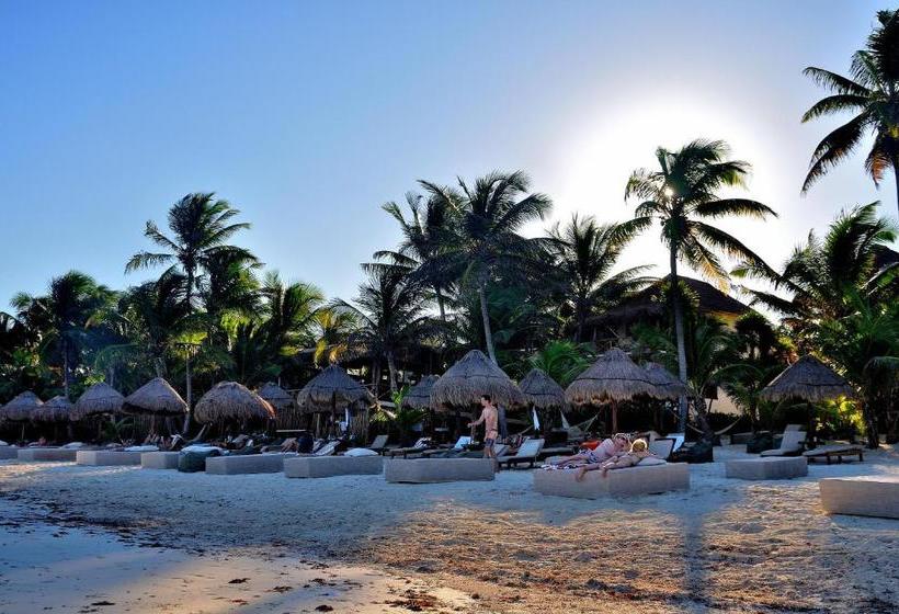 Hotel Rosa Del Viento