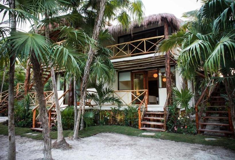 Hotel Rosa Del Viento