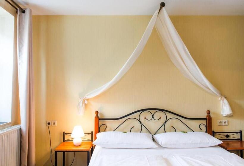 Отель Schwarzer Adler