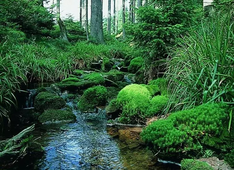 ホテル Schwarzwaldhof