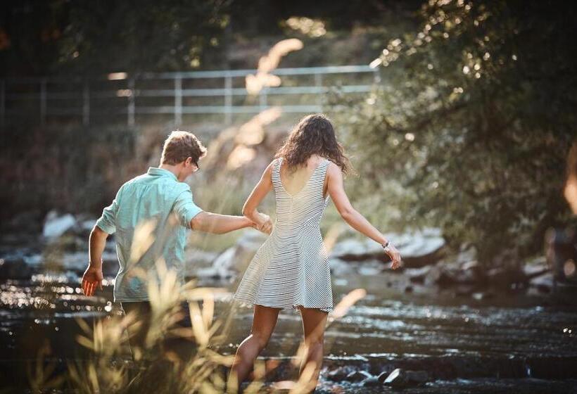 호텔 Schwarzwaldhof