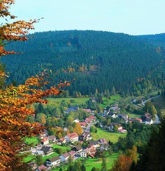 호텔 Schwarzwaldhof