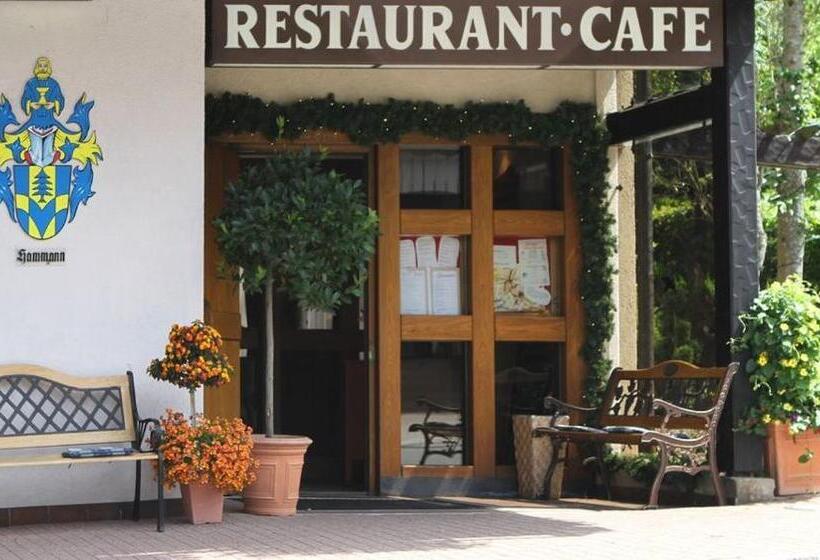 호텔 Schwarzwaldhof