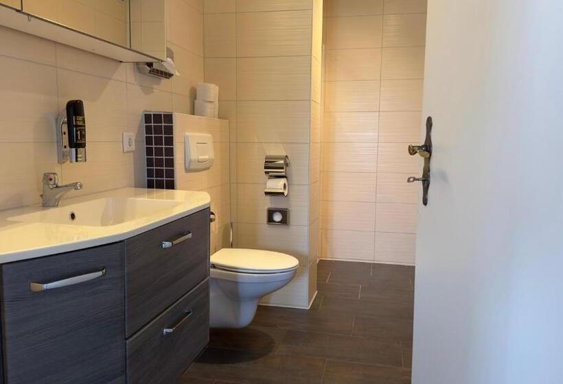 Отель Wernerwald