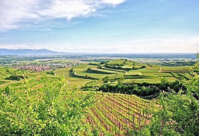 فندق Winzerstube