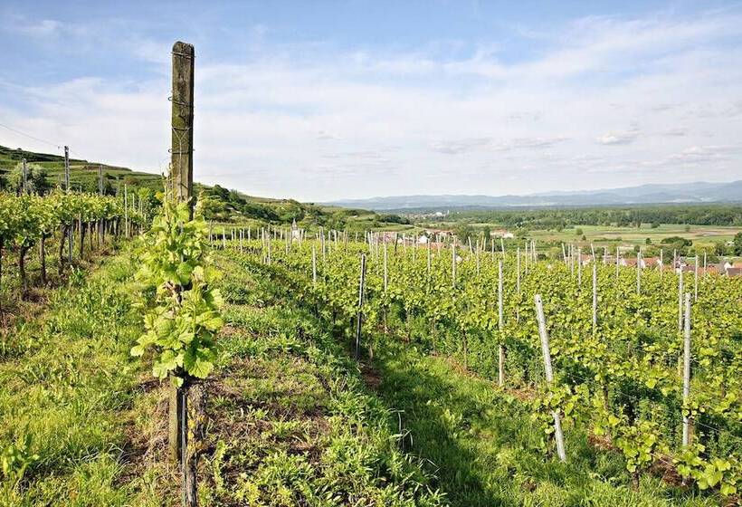 فندق Winzerstube