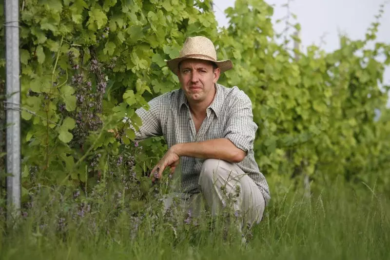 ホテル Worners Schloss Weingut & Wellness