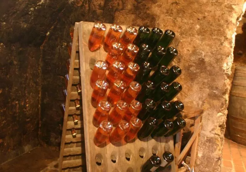 ホテル Worners Schloss Weingut & Wellness