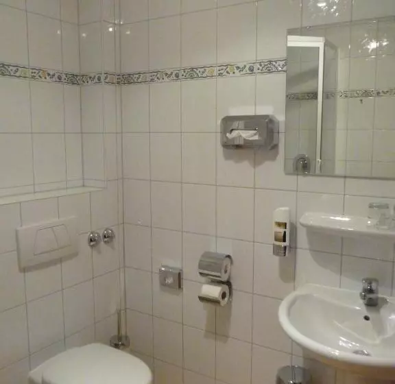 膳宿费 Gasthaus Ochsenwirt