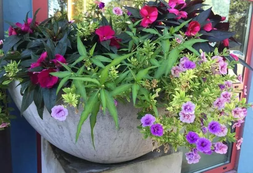 Arthotel Restaurant Pfeffermühle