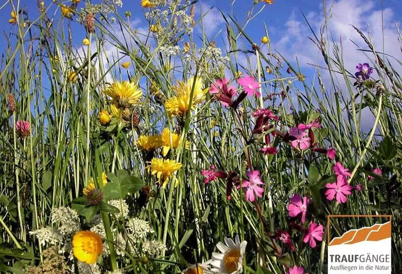 Hotell Garni In Der Breite